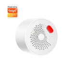 سينسور دخان